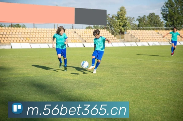 bet365中国官网服务体系